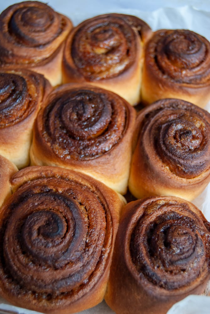 A freshly baked tray of cinnamon rolls filled with pumpkin puree.