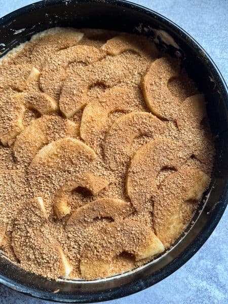 An unbaked cake in a round cake tin topped with sliced apples and sprinkled with cinnamon sugar.