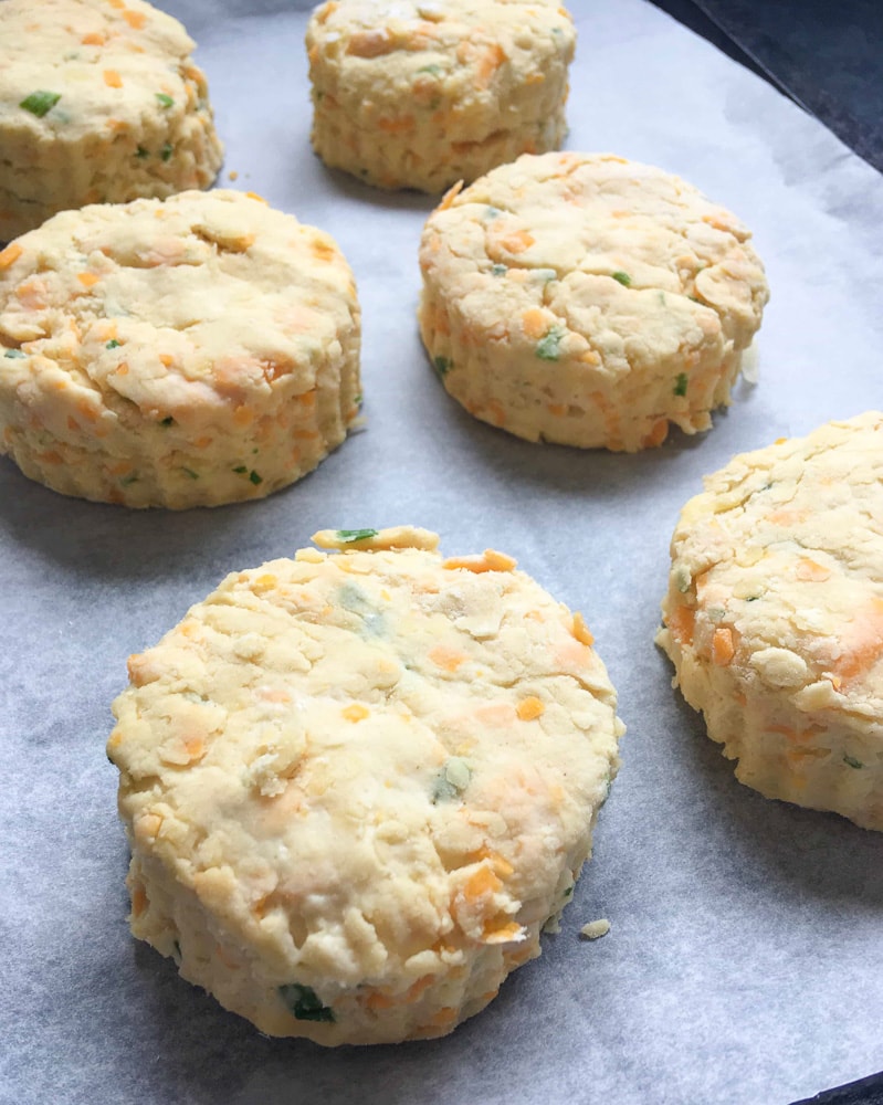 A tray of unbaked cheese scones, cut out and ready for the oven.