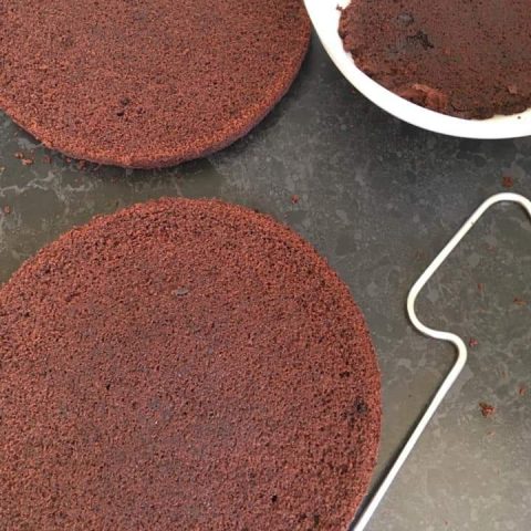 a chocolate sponge cut in half with a cake cutting wire