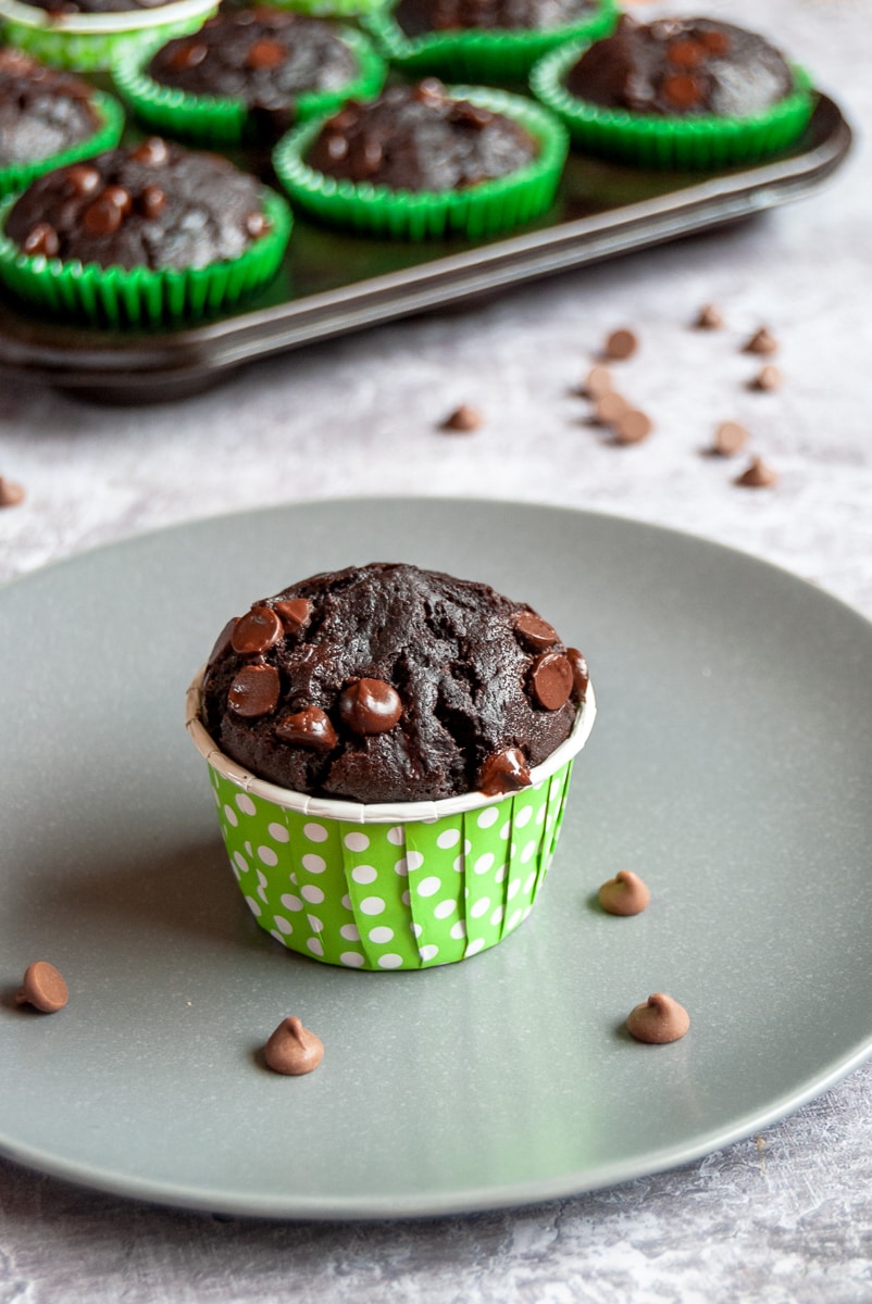 A chocolate zucchini muffin in a green and white spotty muffin case on a grey plate. A tin of more muffins sits in the background.