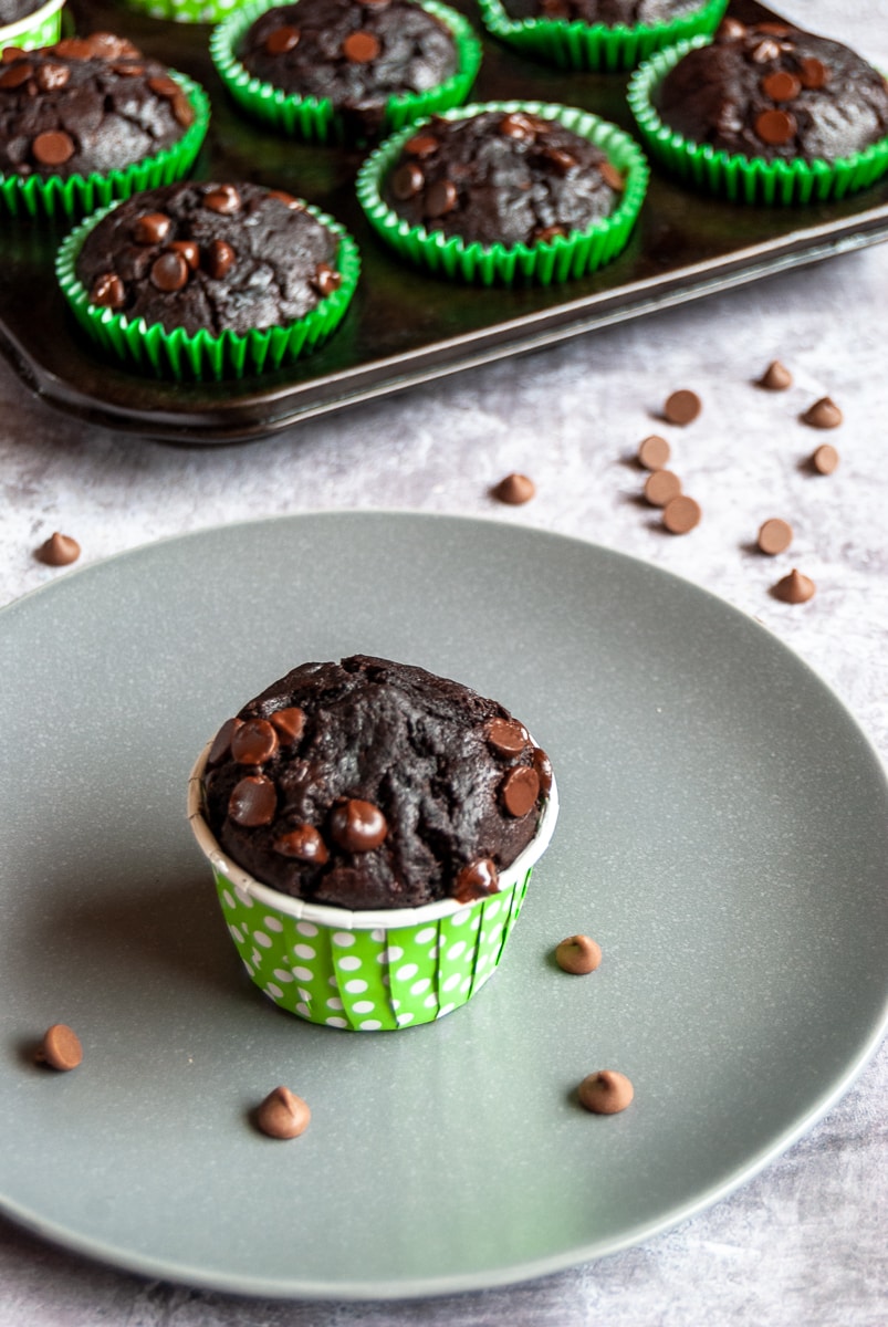 a chocolate zucchini muffin with chocolate chips on a grey plate and a pan of more muffins in the background with chocolate chips sprinkled around the muffins