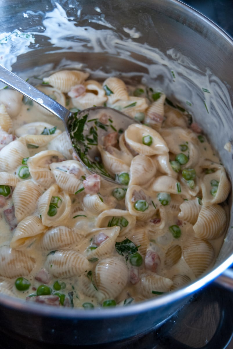 a saucepan of shell pasta in a cream sauce with peas and bacon with a metal spoon.