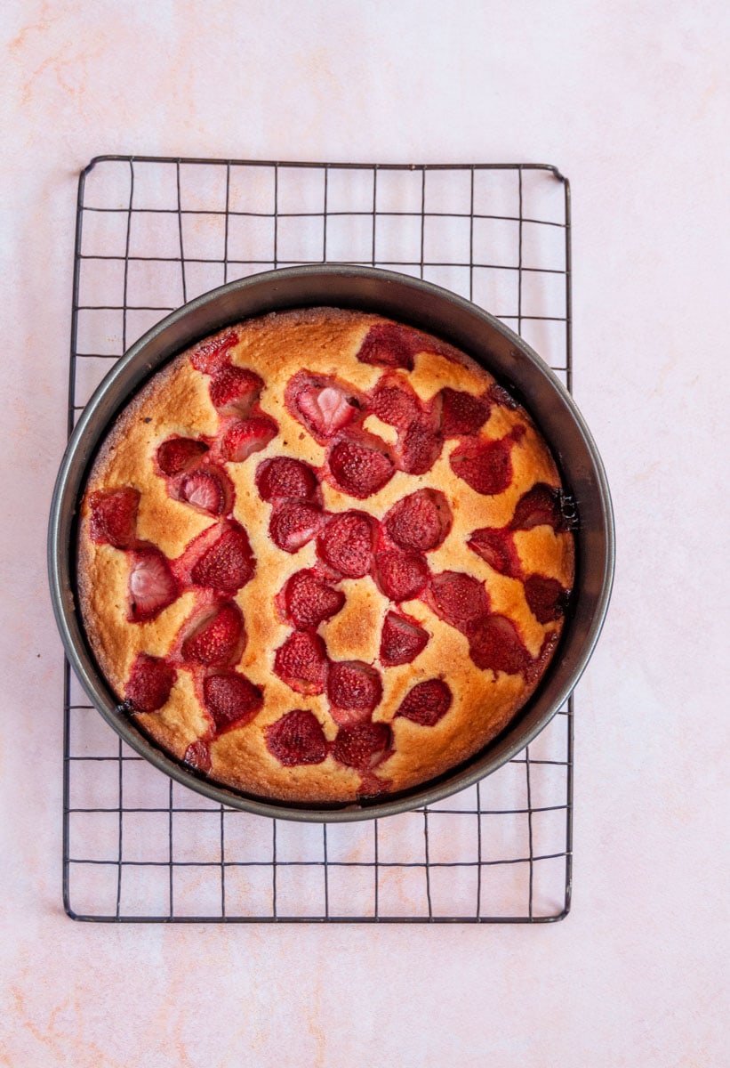 a strawberry cake in a round black cake tin on a grey wire cooling rack.