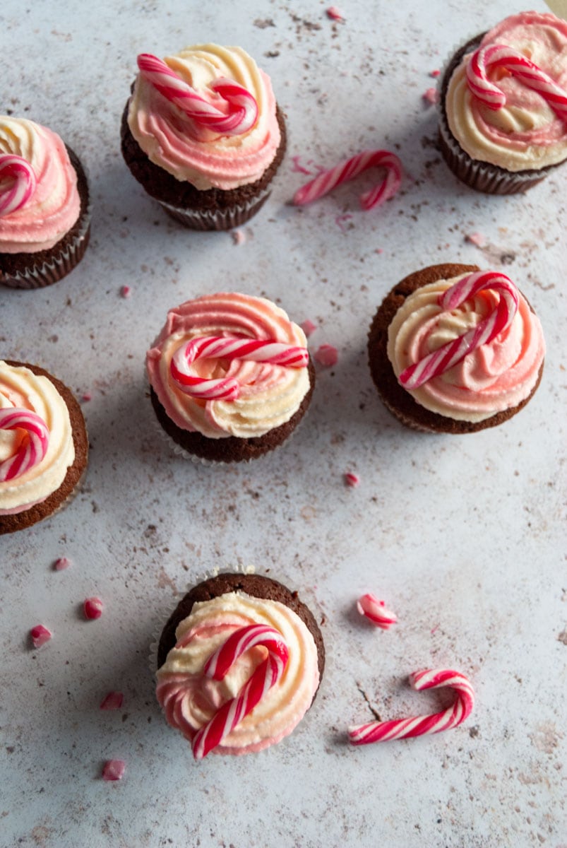 seven chocolate cupcakes topped with pink and white buttercream frosting and a mini candy cane on a white and grey background.