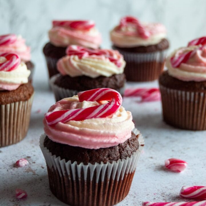 a chocolate cupcake topped with white and pink peppermint frosting and topped with a mini candy cane.