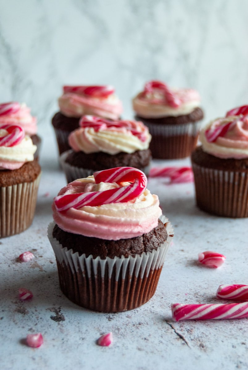 a chocolate cupcake topped with white and pink peppermint frosting and topped with a mini candy cane.