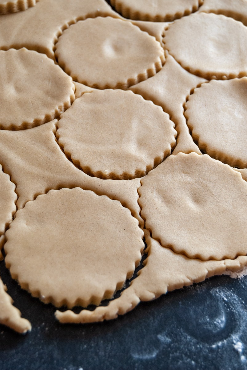 Rolled out biscuit dough with rounds stamped out on a floured work surface.