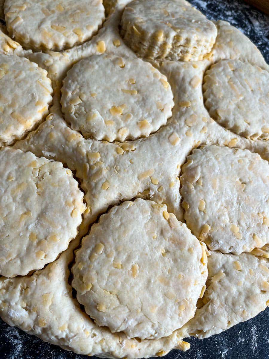 unbaked cheese scone dough cut into rounds.