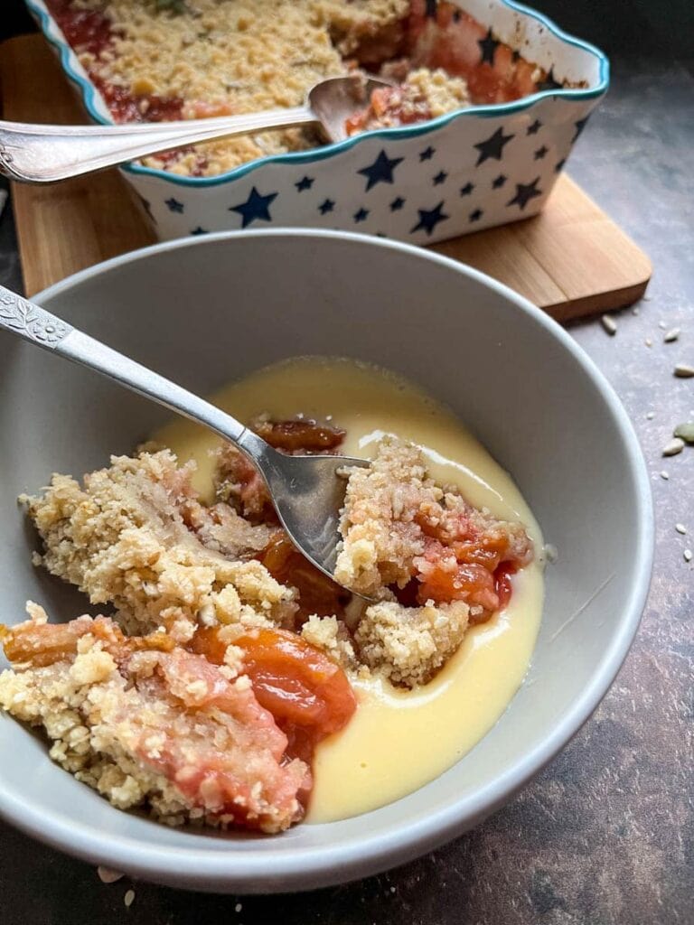 a grey bowl of plum crumble and custard with a silver spoon. A blue and white star patterened dish of crumble sits in the background.